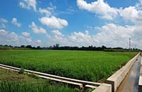 關于我司受邀參加安徽農(nóng)墾旱改水項目工作座談會